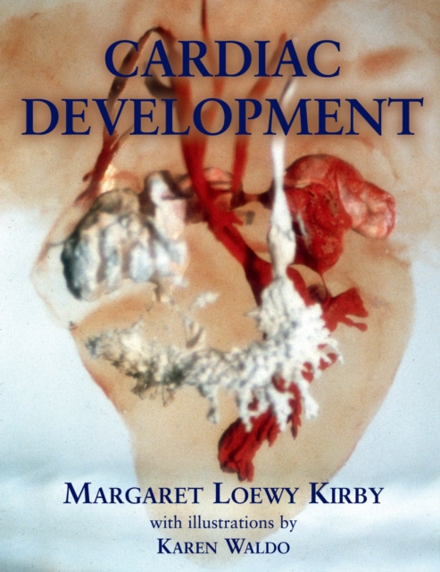 E-book Cardiac Development Margaret L. Kirby