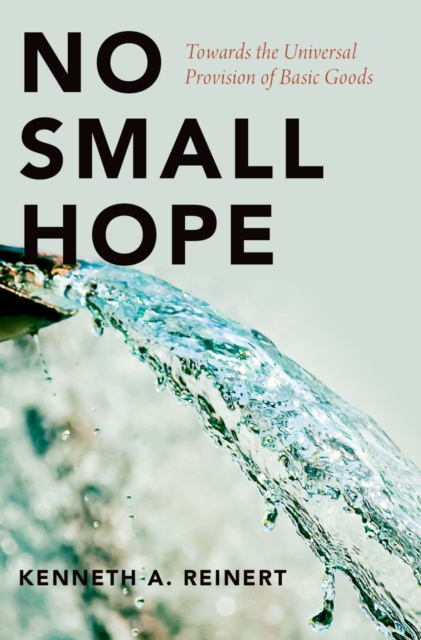 E-knjiga No Small Hope Kenneth A. Reinert