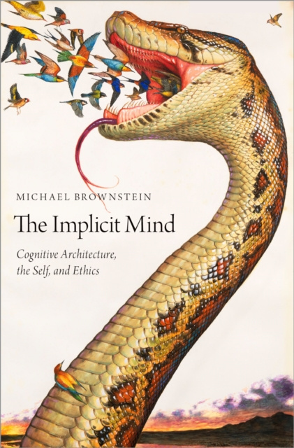 E-knjiga Implicit Mind Michael Brownstein