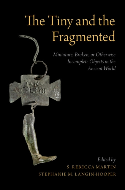 E-book Tiny and the Fragmented S. Rebecca Martin