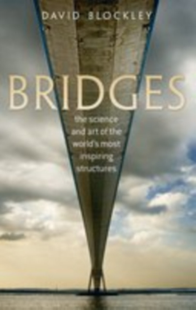 E-kniha Bridges David Blockley