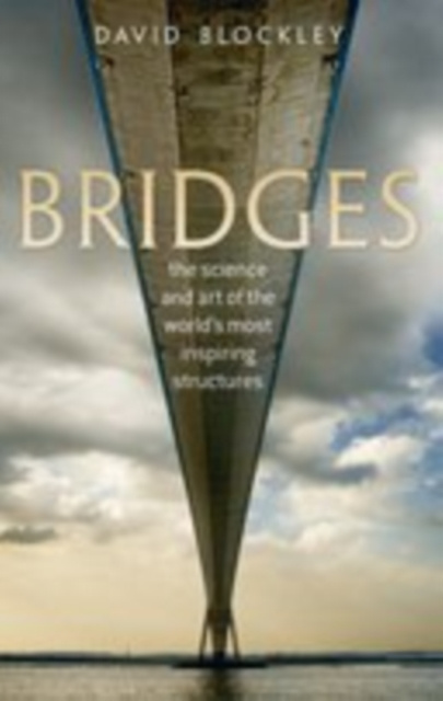 E-book Bridges David Blockley
