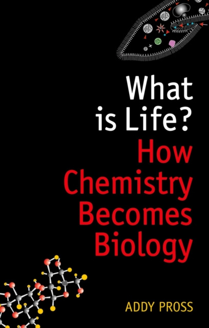 E-Book What is Life? Addy Pross