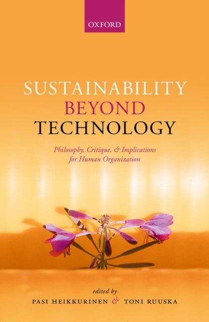 E-kniha Sustainability Beyond Technology Pasi Heikkurinen