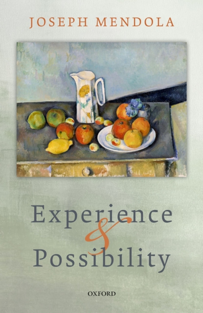 E-Book Experience and Possibility Joseph Mendola