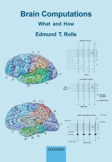 E-book Brain Computations Edmund T. Rolls