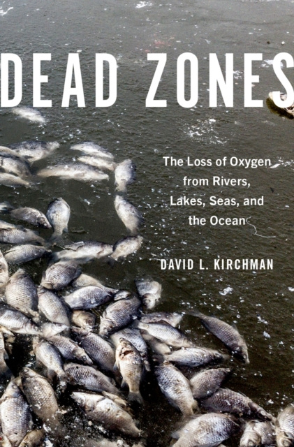 E-knjiga Dead Zones David L. Kirchman