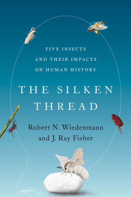 E-knjiga Silken Thread Robert N. Wiedenmann