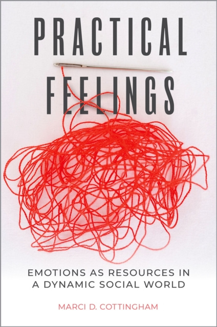 E-knjiga Practical Feelings Marci D. Cottingham