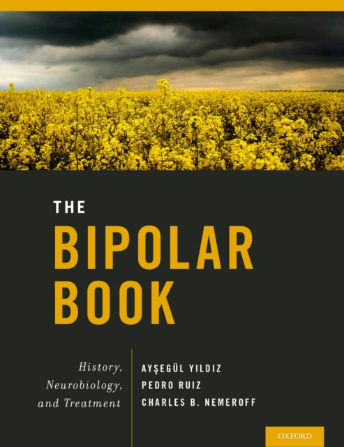 E-kniha Bipolar Book Aysegul Yildiz