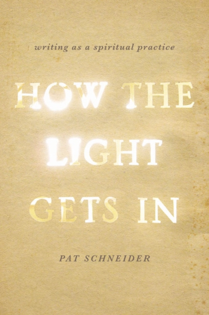 E-kniha How the Light Gets In Pat Schneider