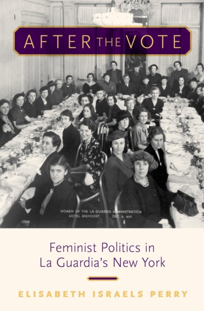 E-Book After the Vote Elisabeth Israels Perry