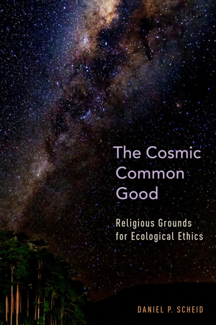 E-book Cosmic Common Good Daniel P. Scheid