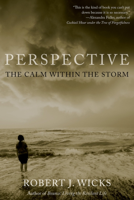 E-knjiga Perspective Robert J. Wicks