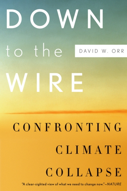 E-knjiga Down to the Wire David W. Orr