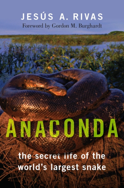E-knjiga Anaconda Jesus A. Rivas