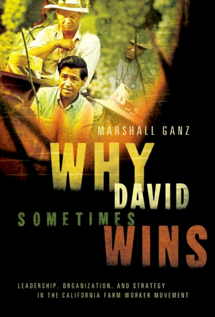 E-book Why David Sometimes Wins Marshall Ganz