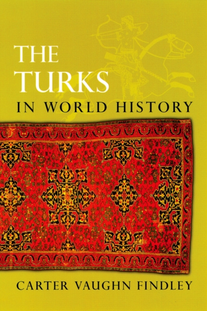 E-kniha Turks in World History Carter Vaughn Findley