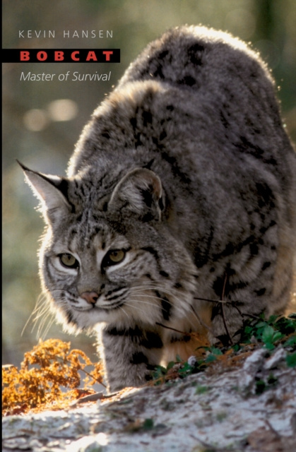 E-book Bobcat Kevin Hansen