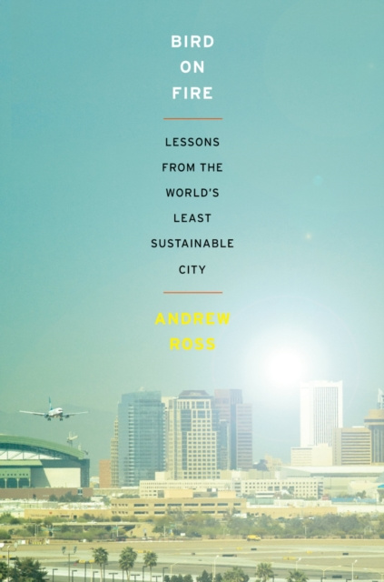 E-book Bird on Fire Andrew Ross