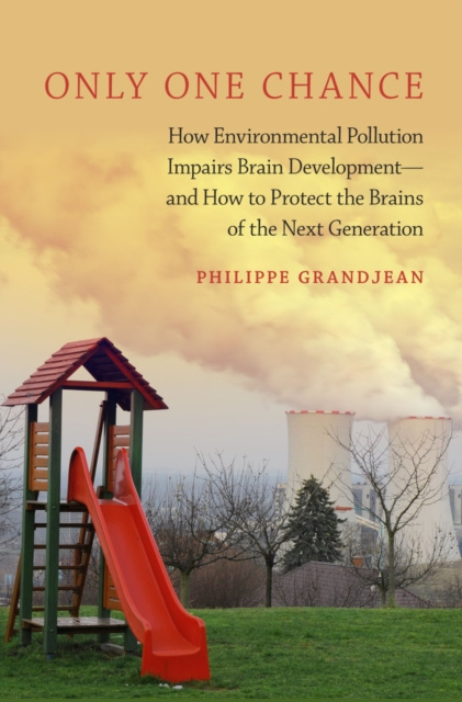 E-Book Only One Chance Philippe Grandjean