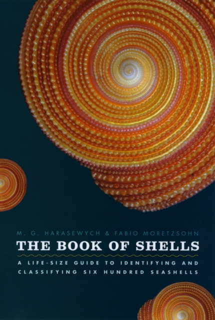 E-knjiga Book of Shells Harasewych M. G. Harasewych
