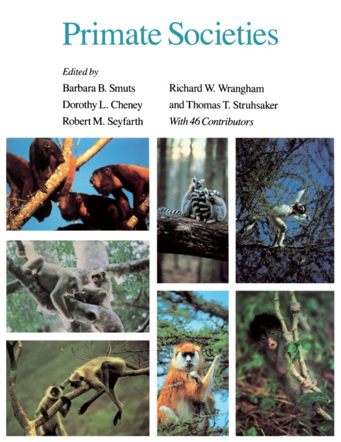 E-knjiga Primate Societies Smuts Barbara B. Smuts