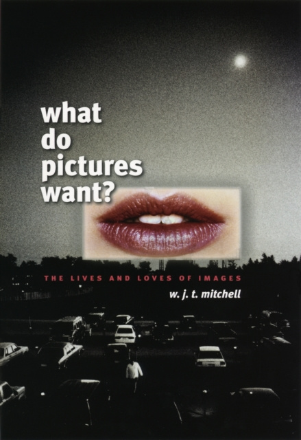 Libro electrónico What Do Pictures Want? Mitchell W. J. T. Mitchell