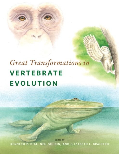 E-knjiga Great Transformations in Vertebrate Evolution Dial Kenneth P. Dial