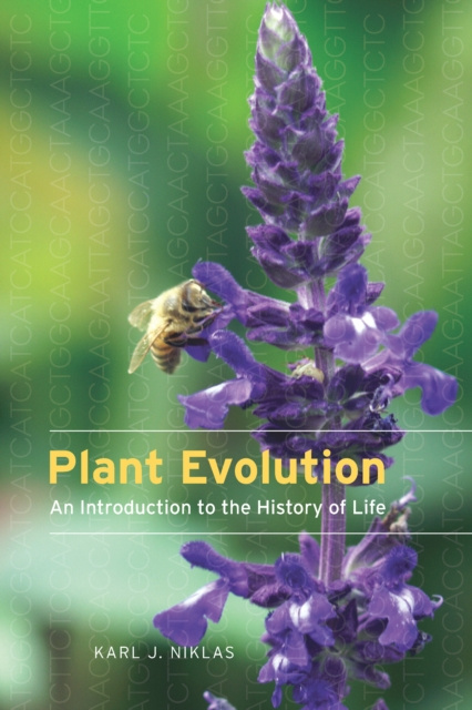E-knjiga Plant Evolution Niklas Karl J. Niklas
