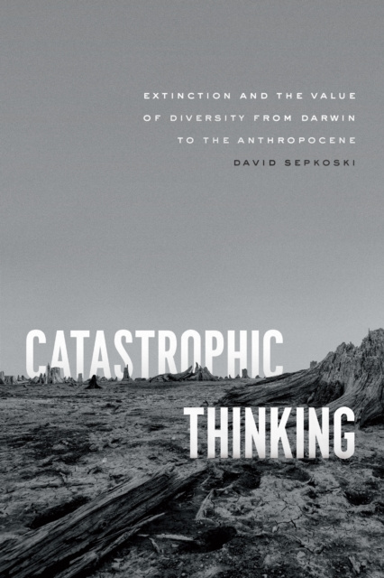 E-knjiga Catastrophic Thinking Sepkoski David Sepkoski
