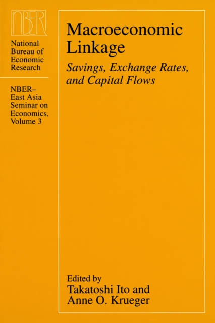 E-knjiga Macroeconomic Linkage Ito Takatoshi Ito