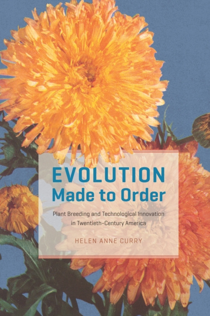 E-knjiga Evolution Made to Order Curry Helen Anne Curry