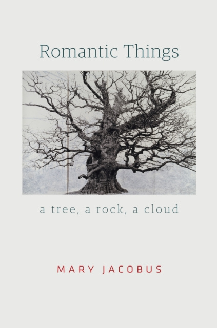 E-knjiga Romantic Things Jacobus Mary Jacobus