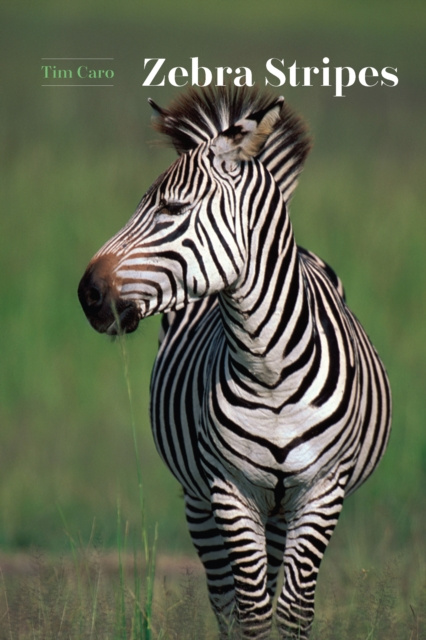 E-Book Zebra Stripes Caro Tim Caro