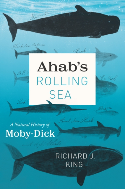 E-book Ahab's Rolling Sea King Richard J. King