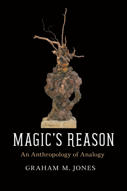 E-knjiga Magic's Reason Jones Graham M. Jones