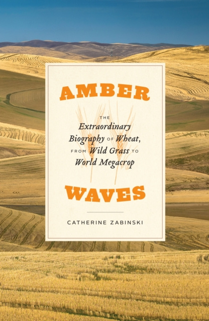ebook Amber Waves Zabinski Catherine Zabinski