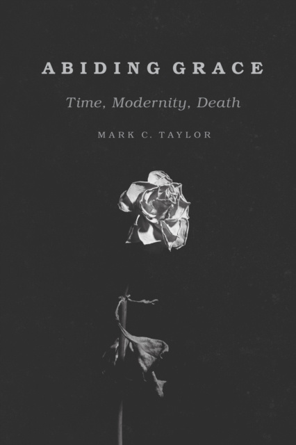 E-knjiga Abiding Grace Taylor Mark C. Taylor