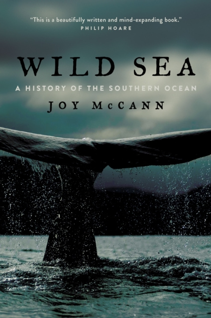E-book Wild Sea McCann Joy McCann