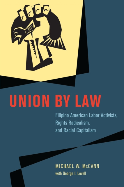 E-kniha Union by Law McCann Michael W. McCann