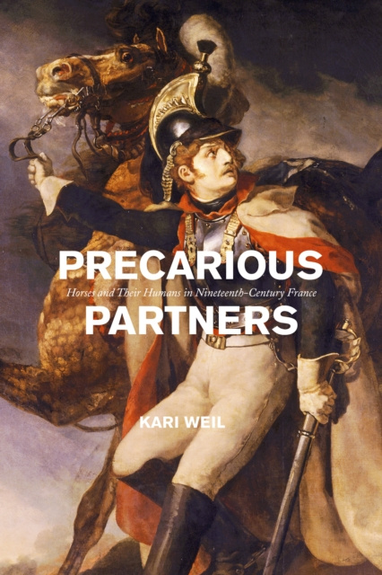 E-Book Precarious Partners Weil Kari Weil