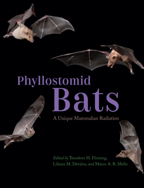 E-knjiga Phyllostomid Bats Fleming Theodore H Fleming
