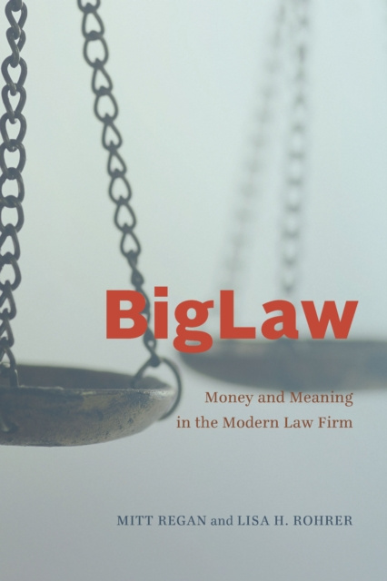 E-knjiga BigLaw Regan Mitt Regan