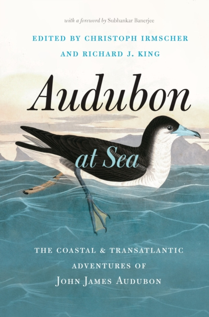 E-knjiga Audubon at Sea Irmscher Christoph Irmscher