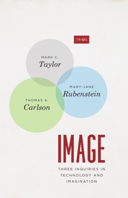 E-knjiga Image Taylor Mark C. Taylor