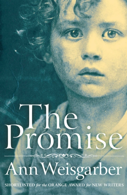E-knjiga Promise Ann Weisgarber