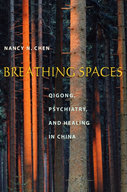 E-book Breathing Spaces Nancy N. Chen