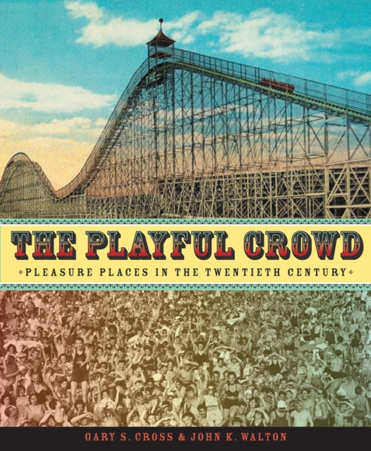 E-book Playful Crowd Gary Cross