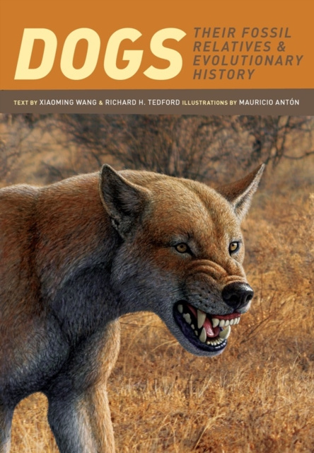 E-book Dogs Xiaoming Wang